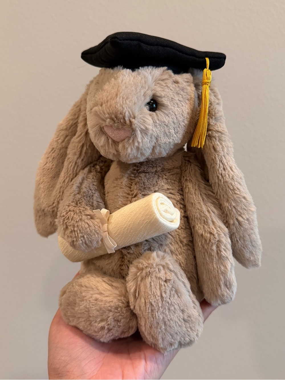 Jellycat Bashful Bunny Graduation Outfit
